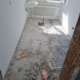 Entkernung vom Profi (5).JPG