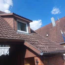 Altbausanierung aus einer Hand (9).jpeg